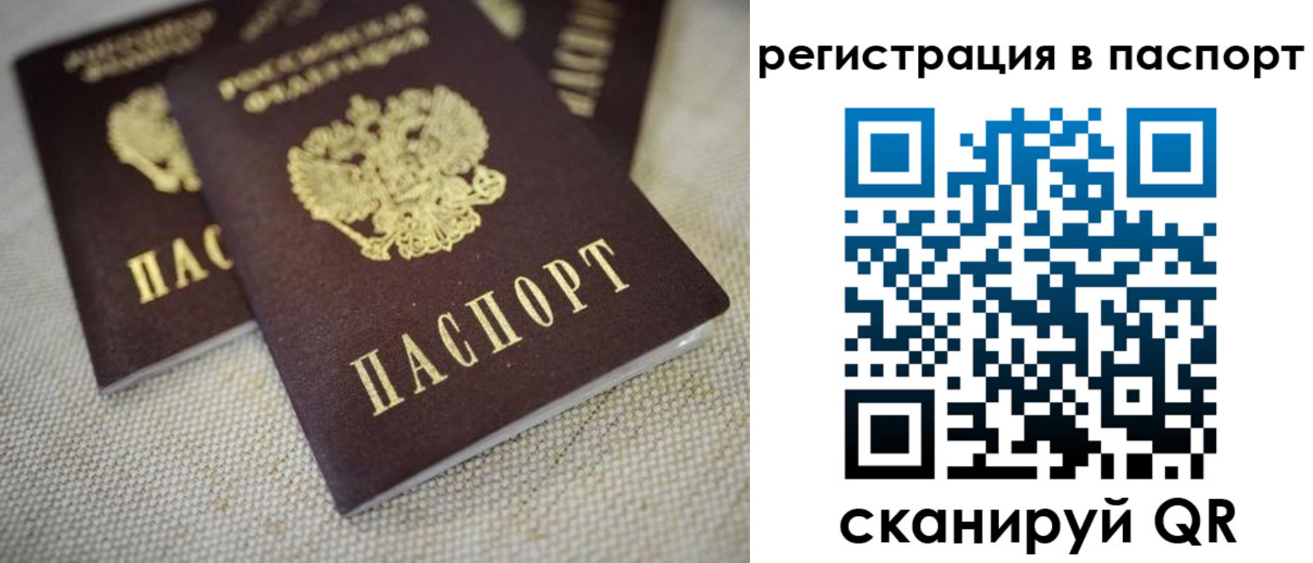 прописка гарантия в Межгорье